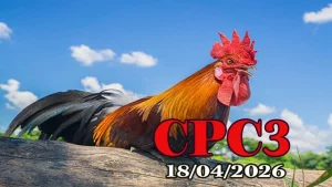 Xem clip đá gà trực tiếp Thomo CPC3 ngày 18042026